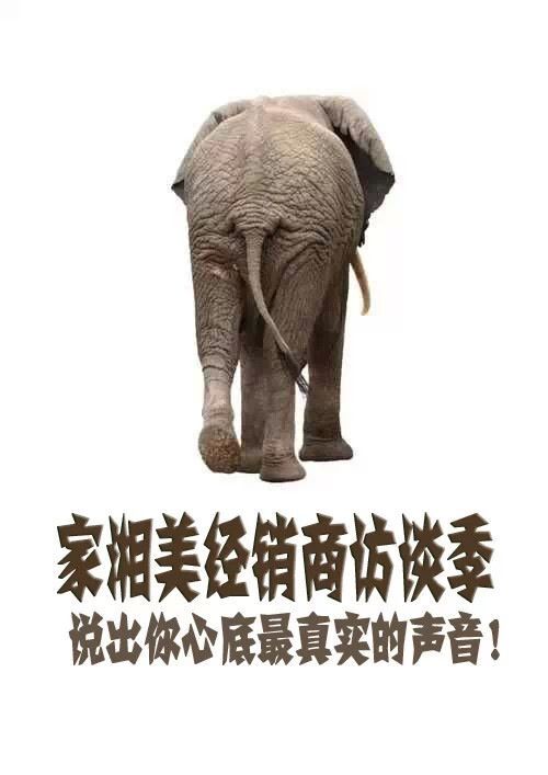 1436865938954789.jpg QQ圖片20150714172613.jpg